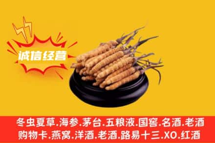 株洲市芦淞回收冬虫夏草